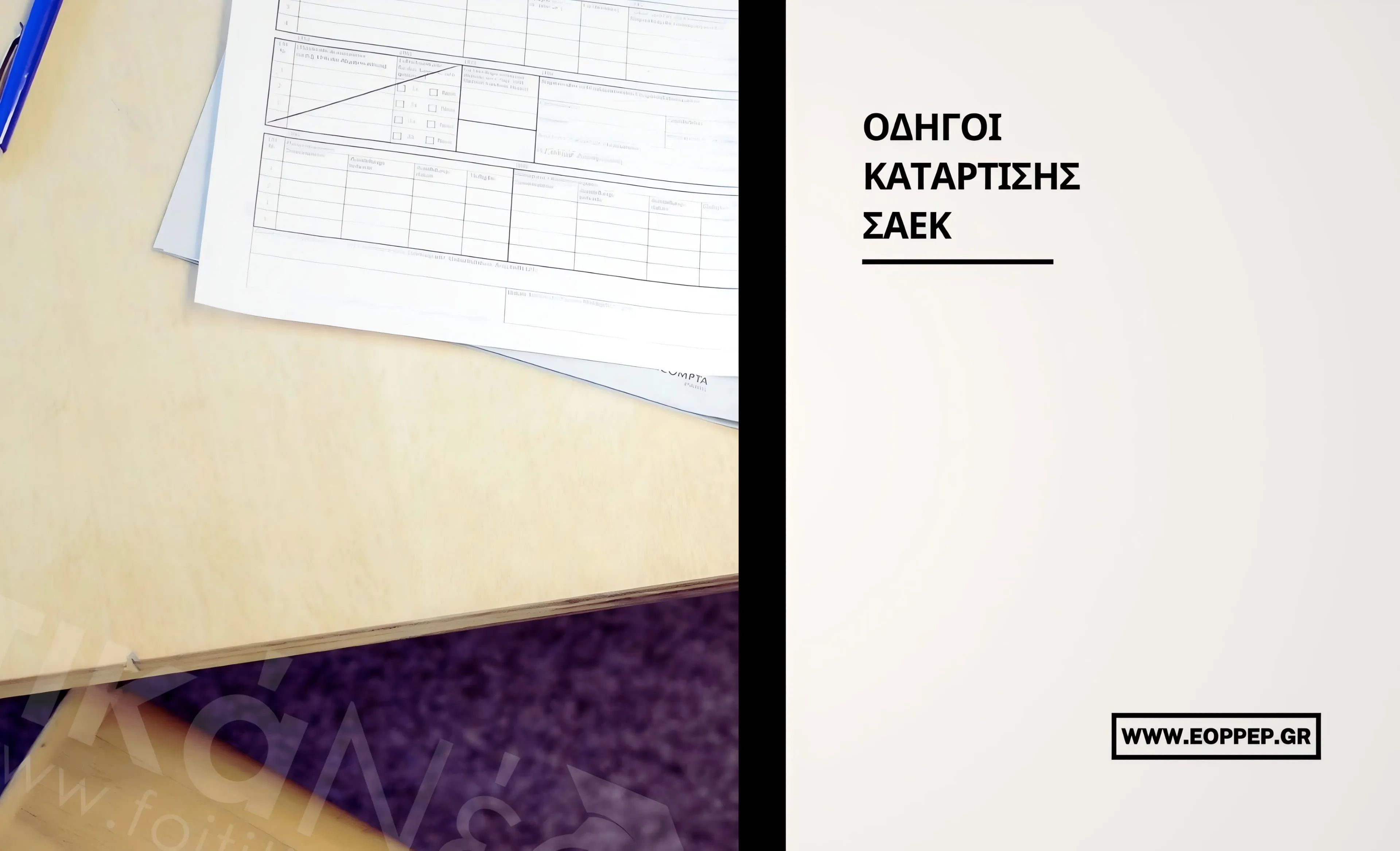 ΣΑΕΚ Οδηγοί Κατάρτισης
